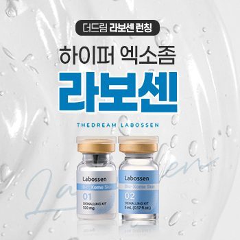 더드림 라보센 런칭